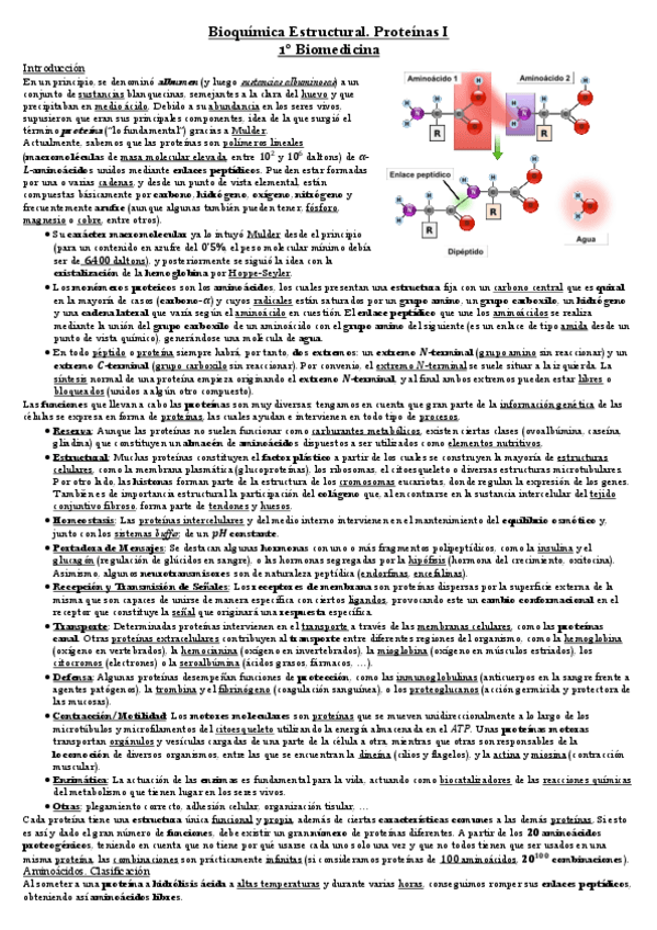 Miniatura del documento Proteínas 1.pdf