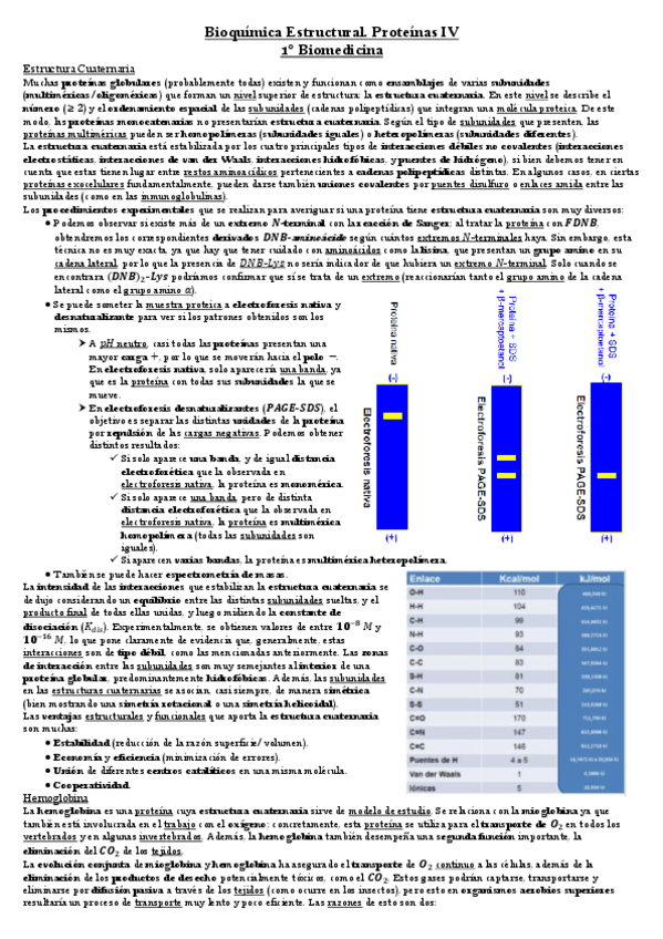 Miniatura del documento Proteínas 4.pdf