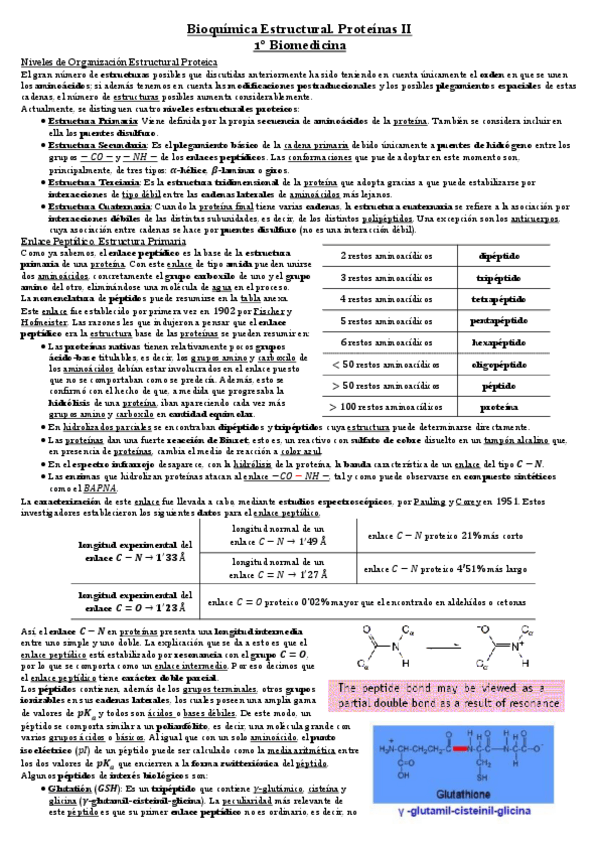 Miniatura del documento Proteínas 2.pdf