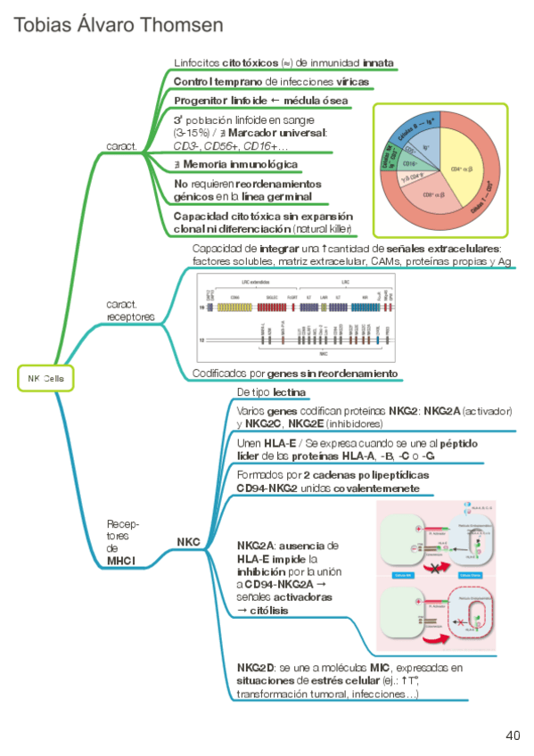 Miniatura del documento Inmunología Básica TOB 13-16.pdf