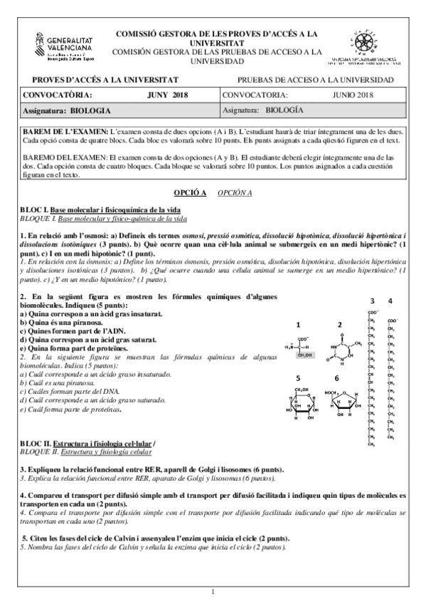 Miniatura del documento Examen Biología junio 2018.pdf