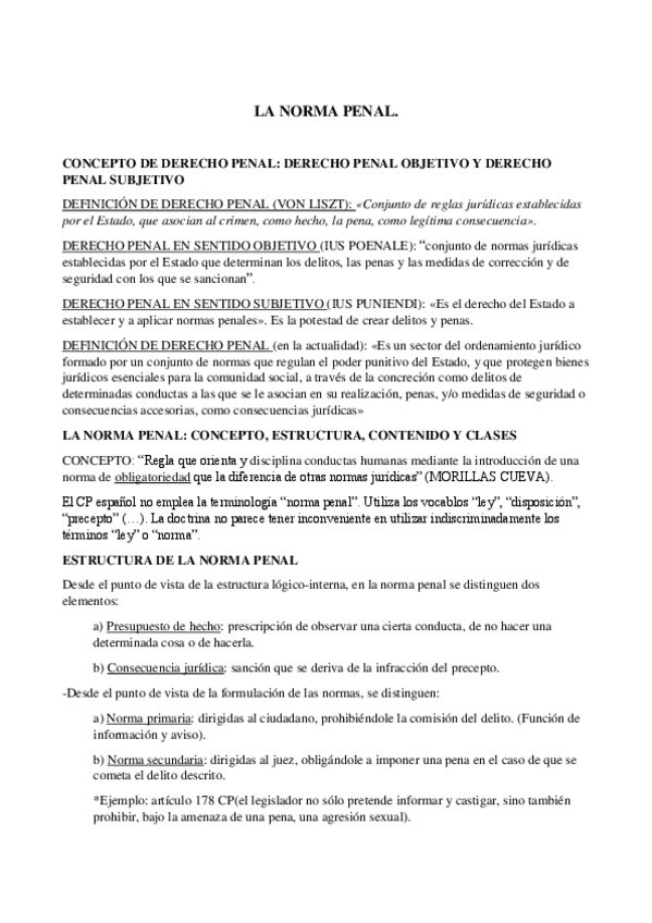 Miniatura del documento LA NORMA PENAL.pdf