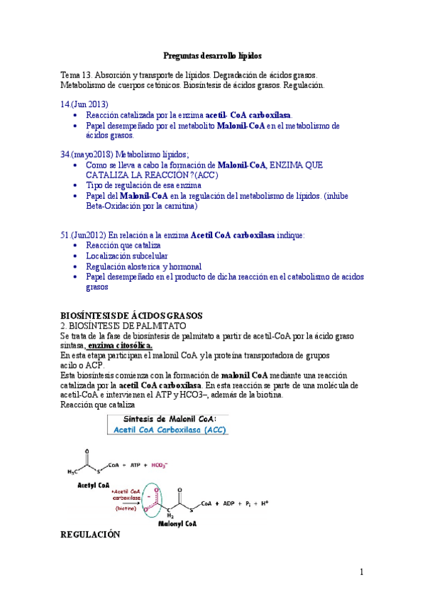 Miniatura del documento lipidos y nitrogenados preguntas de desarollo.pdf