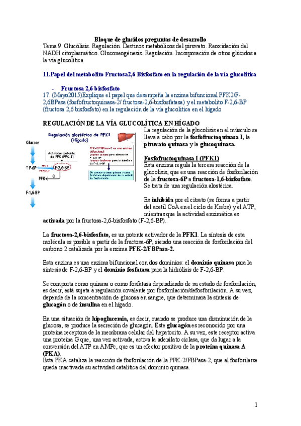 Miniatura del documento glucidos desarollo.pdf