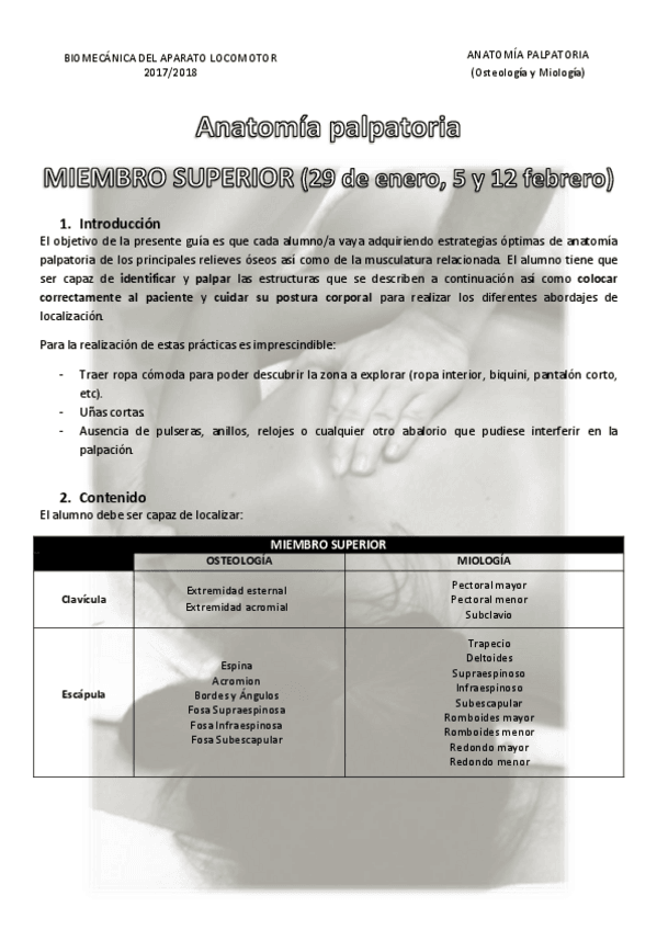 Miniatura del documento anatomía palpatoria 1.pdf