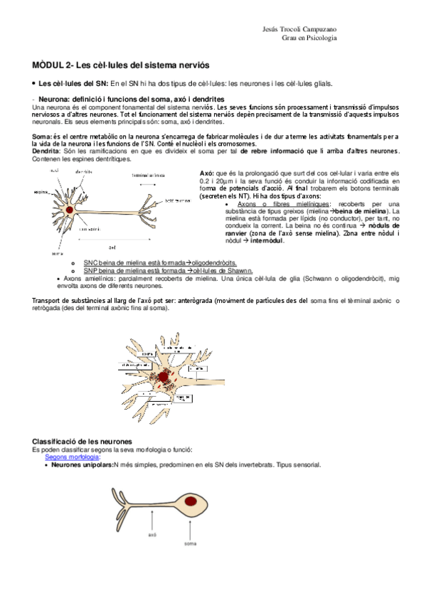Miniatura del documento Psicobiologia - Resum.pdf