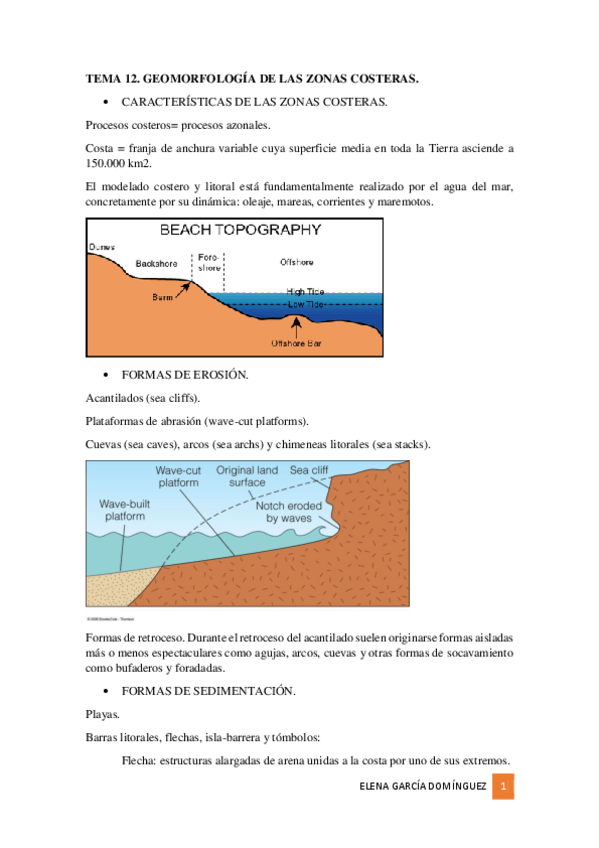 Miniatura del documento TEMA 12.pdf