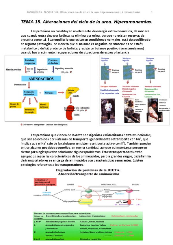 Miniatura del documento TEMA 15.1. BIOQUÍMICA CLÍNICA. .pdf