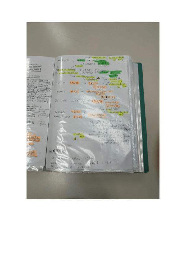 Miniatura del documento examen dietetica I.pdf