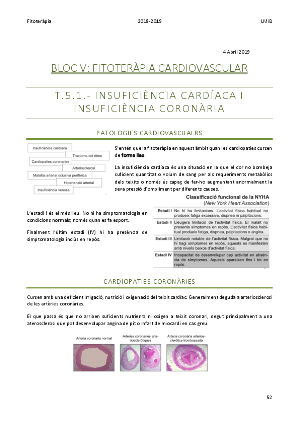 Miniatura del documento Fitoteràpia Bloc V.pdf