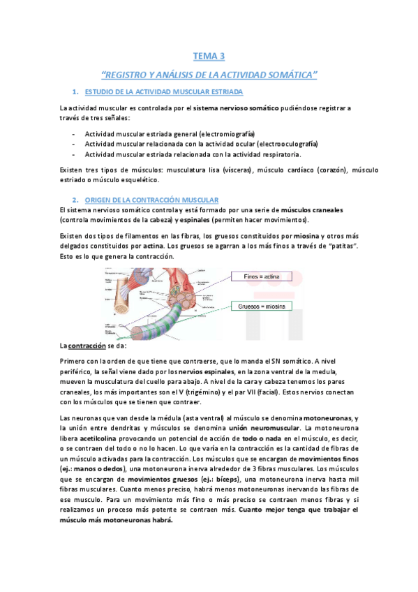 Miniatura del documento TEMA 3.pdf