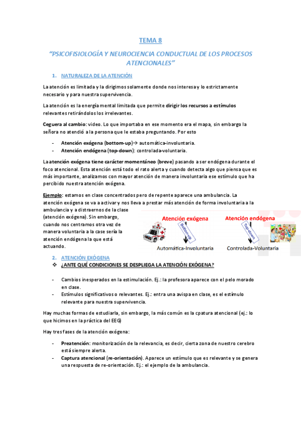 Miniatura del documento TEMA 8.pdf