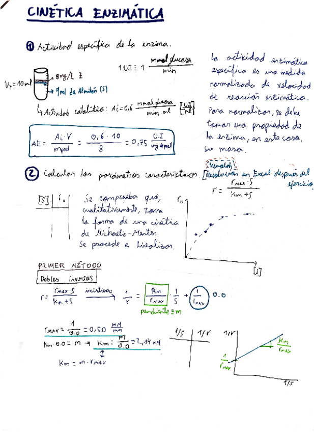 Miniatura del documento Ejercicios Cinética enzimática.pdf