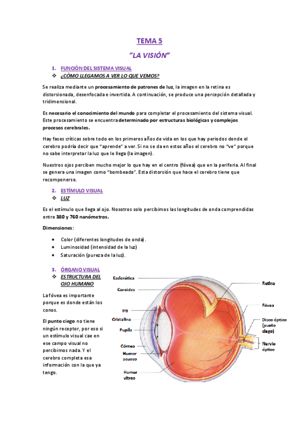 Miniatura del documento TEMA 5.pdf
