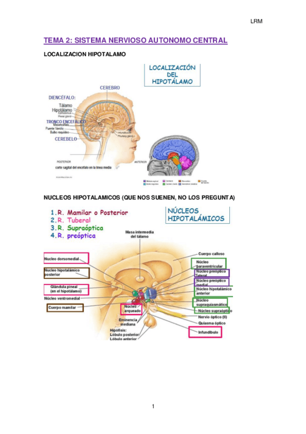 Miniatura del documento fisio II temario.pdf
