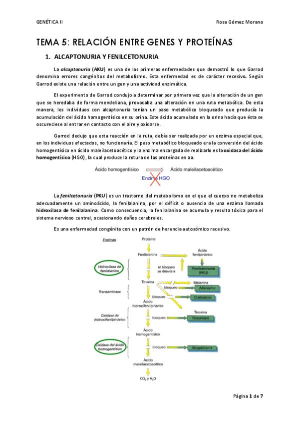 Miniatura del documento TEMA 5.pdf