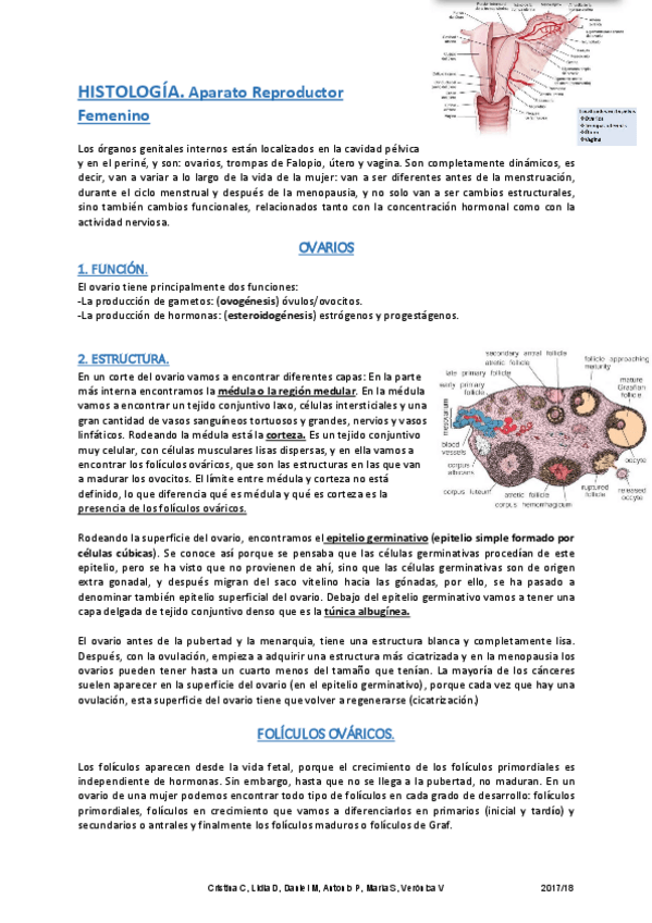 Miniatura del documento Histología M10.pdf