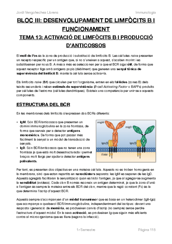 Miniatura del documento IMMUNOLOGIA - BLOC III.pdf