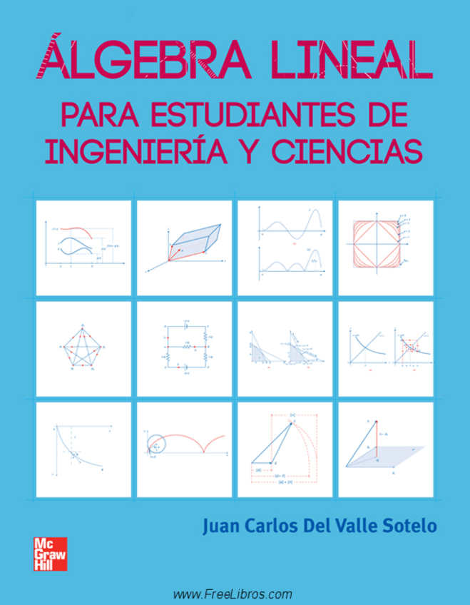 Miniatura del documento Álgebra lineal para estudiantes de ingeniería y ciencias - Juan Carlos Del Valle Sotelo.pdf