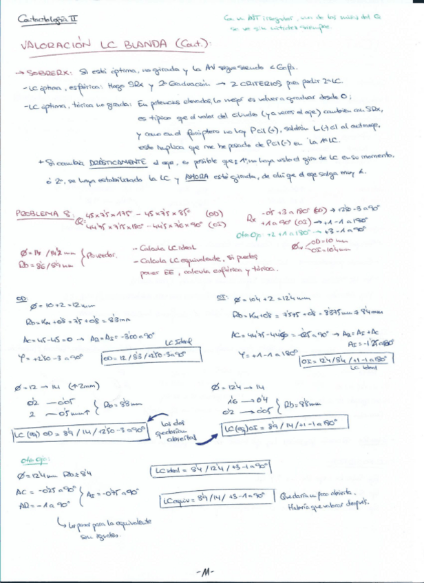 Miniatura del documento TEMAS Y PROBLEMAS LC BLANDAS PG 11-15.pdf