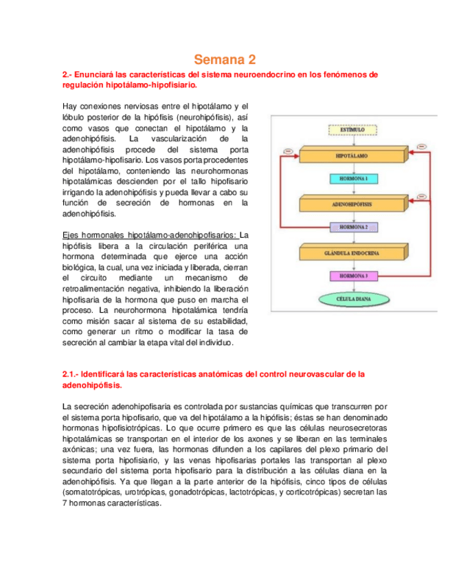 Miniatura del documento Bioca CDI - Semana 2 Hormonas II.pdf