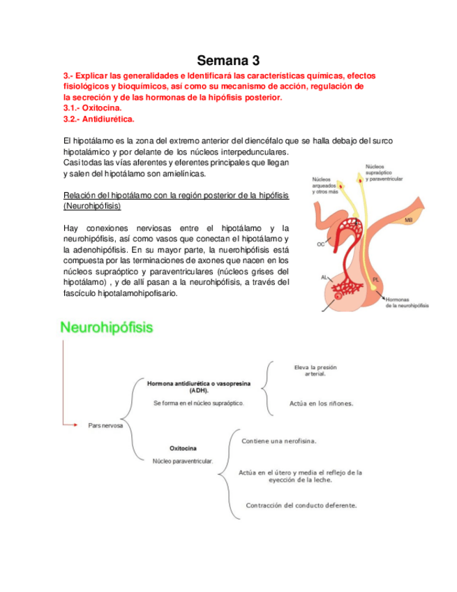 Miniatura del documento Bioca CDI - Semana 3 Oxi y ADH.pdf