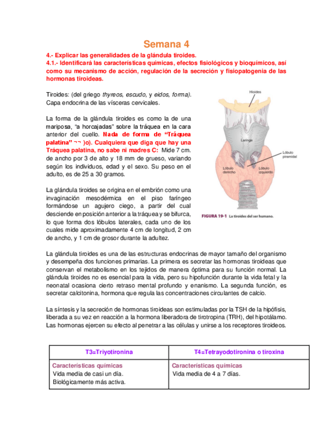 Miniatura del documento Bioca CDI - Semana 4 Tiroides.pdf