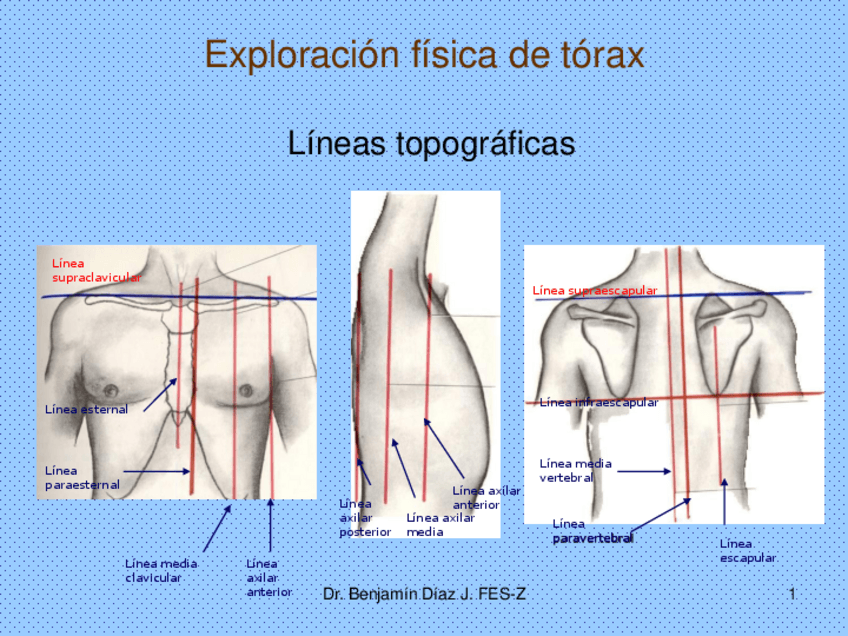 Miniatura del documento Exploración física de tórax CORREGIDO.pdf