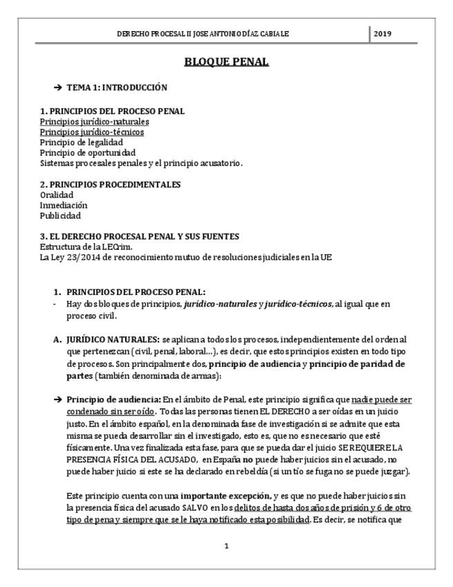 Miniatura del documento PROCESAL PENAL COMPLETO.pdf