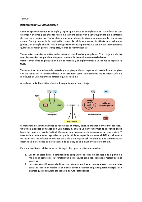 Miniatura del documento TEMA 9.pdf