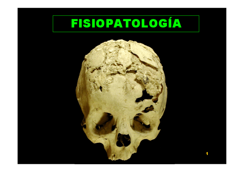 Miniatura del documento TEMA 1 DE FISIOPATOLOGÍA.  INTRODUCCION 2014.pdf