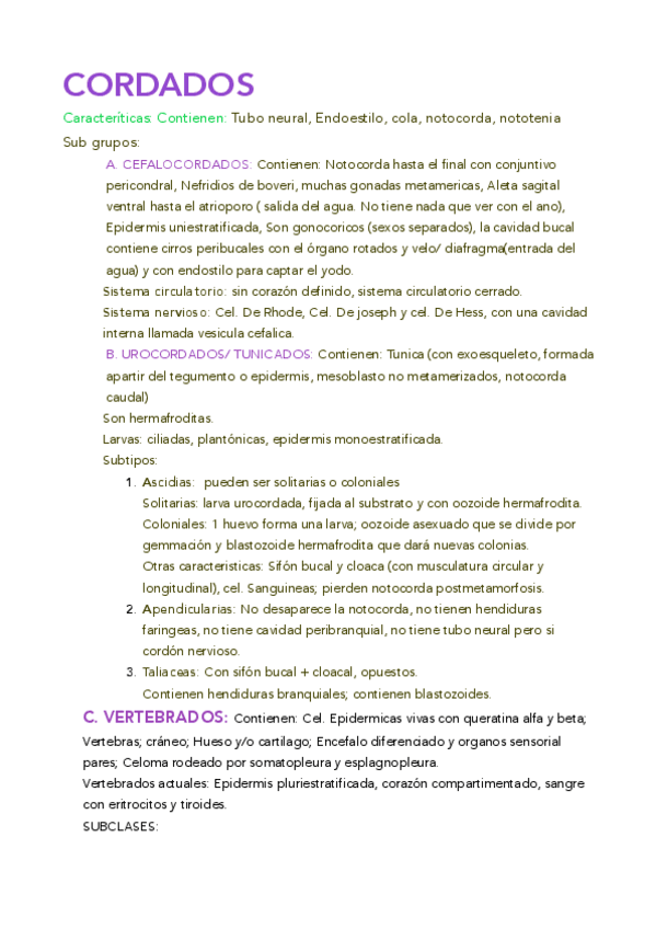 Miniatura del documento resumen cordados .pdf