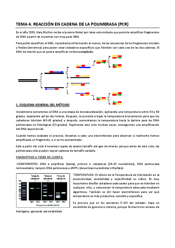 Miniatura del documento Unidad 4 MMB.pdf