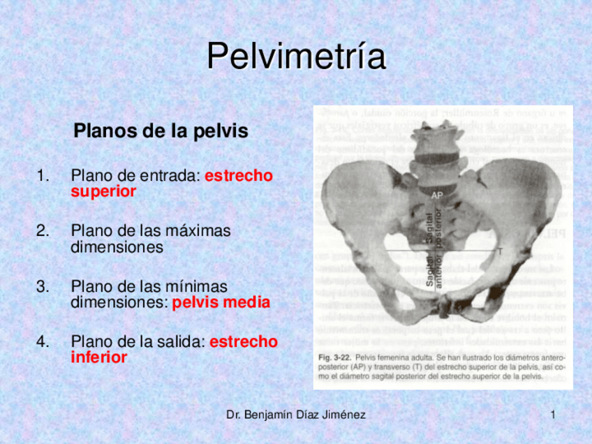 Miniatura del documento Pelvimetría.pdf