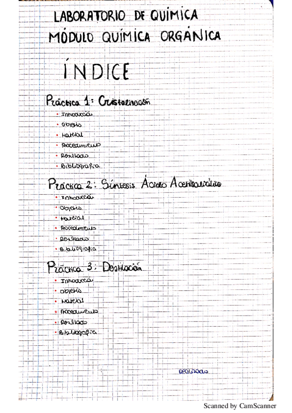Miniatura del documento PRACTICAS QUÍMICA ORGÁNICA.pdf