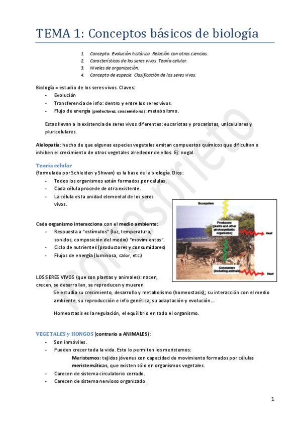 Miniatura del documento Tema 1.pdf