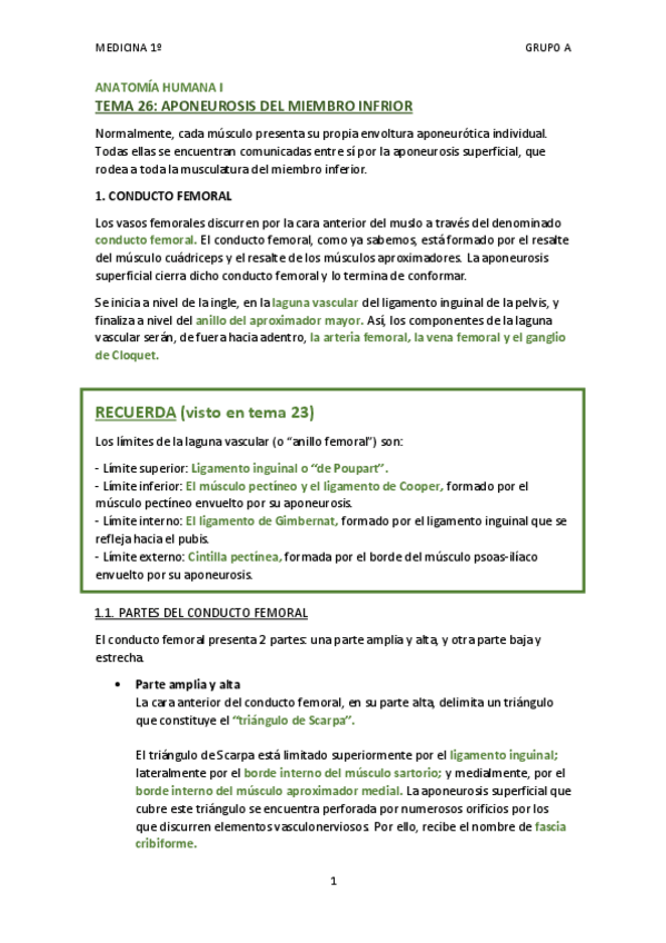 Miniatura del documento TEMA 26 - APONEUROSIS DEL MIEMBRO INFERIOR.pdf