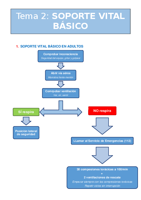 Miniatura del documento Tema 2. Soporte vital básico.docx
