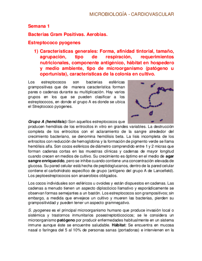 Miniatura del documento Micro - Cardio.pdf