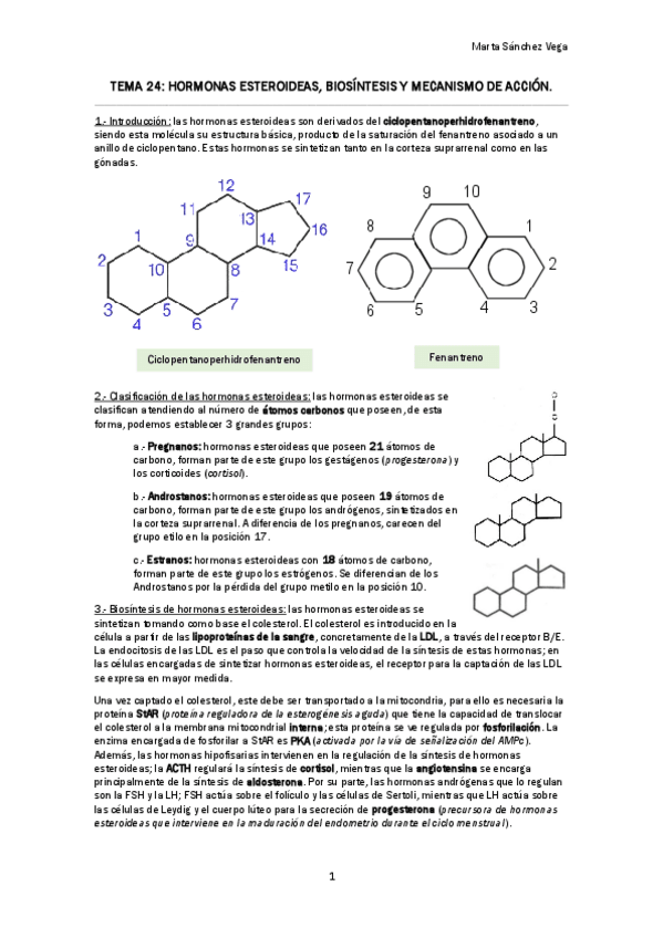 Miniatura del documento TEMA 24.pdf