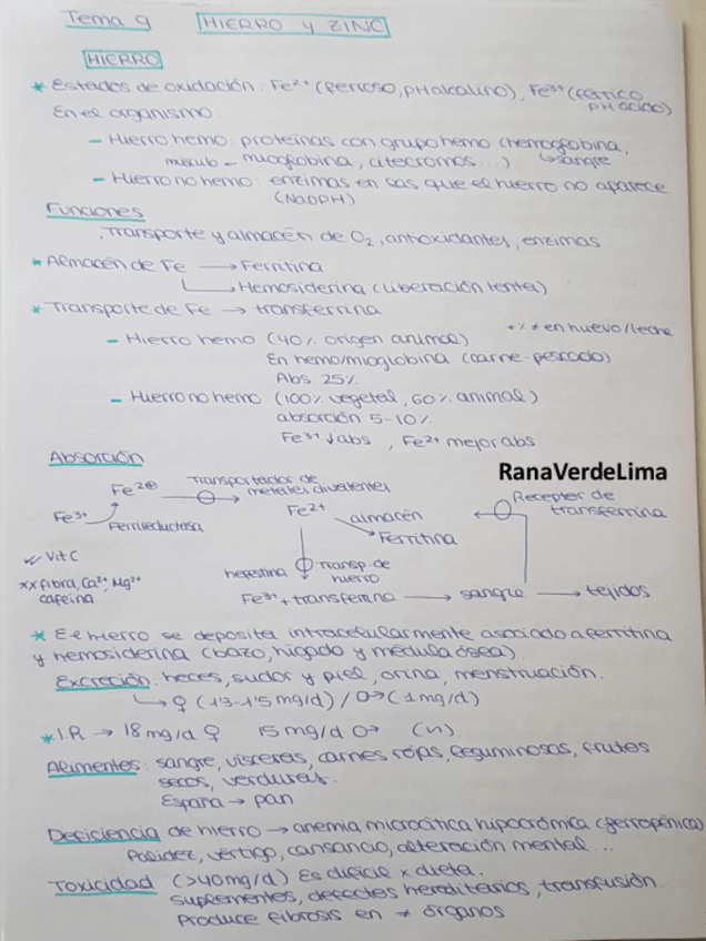 Miniatura del documento Tema 9.pdf