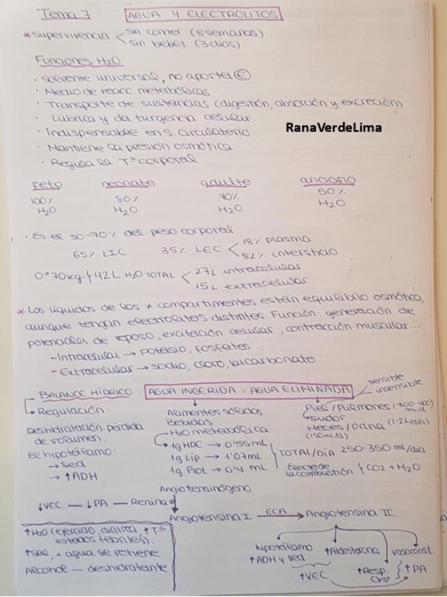 Miniatura del documento Tema 7.pdf