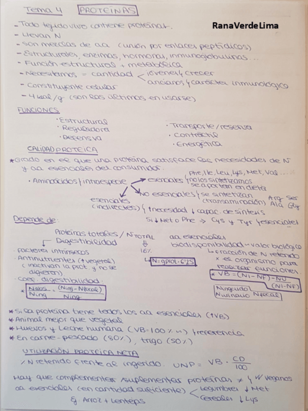 Miniatura del documento Tema 4.pdf