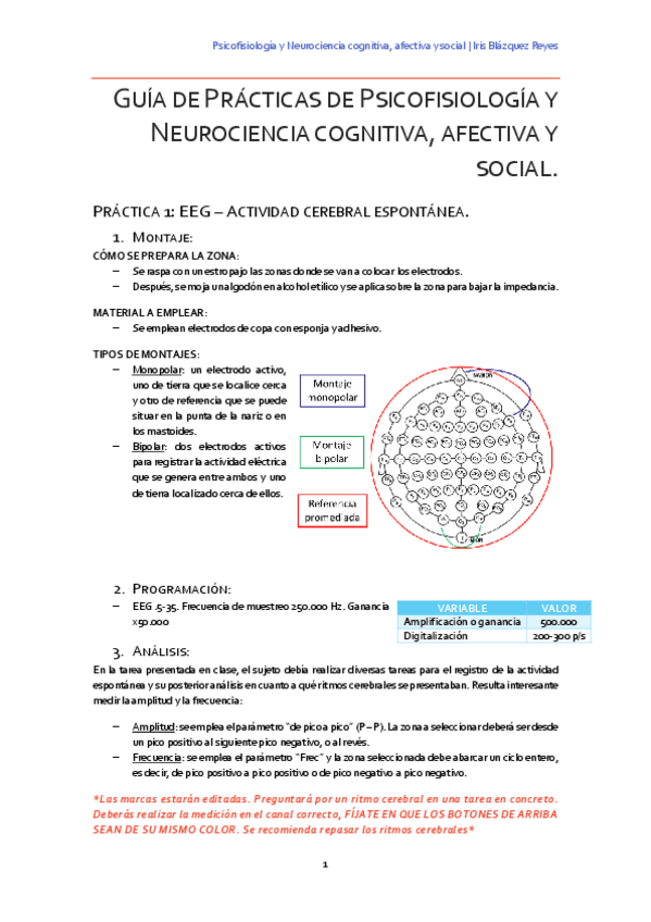 Miniatura del documento Guía de prácticas de Neurociencia.pdf