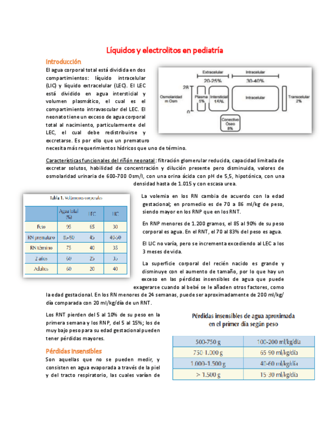 Miniatura del documento 7 - Líquidos y electrolitos en pediatría.pdf