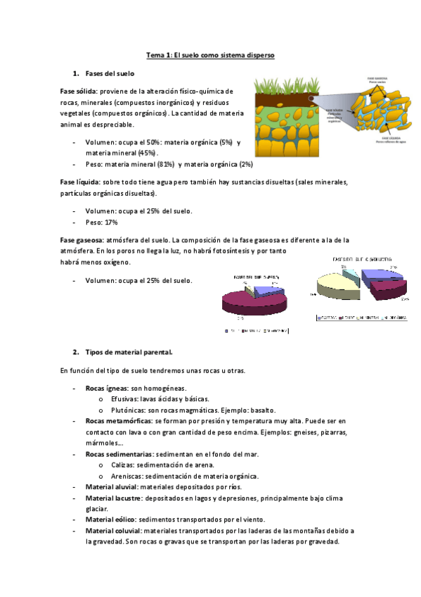 Miniatura del documento tema 1.pdf