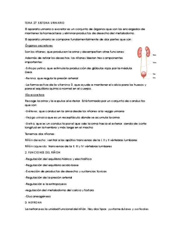 Miniatura del documento TEMA 27.1.pdf