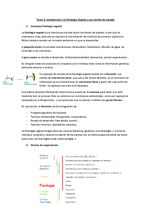 Miniatura del documento tema 1.pdf