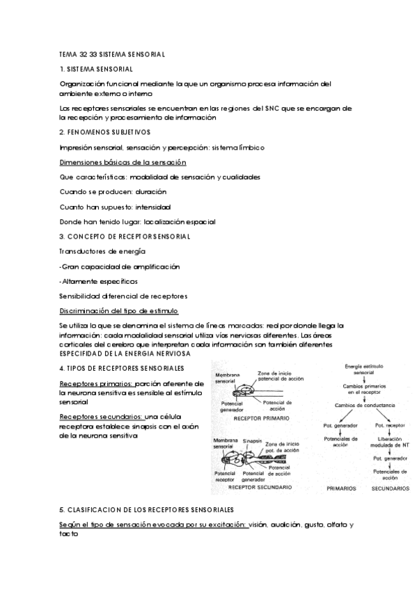 Miniatura del documento TEMA 32 y 33 SENSORIAL SOMATOVISCERAL.pdf