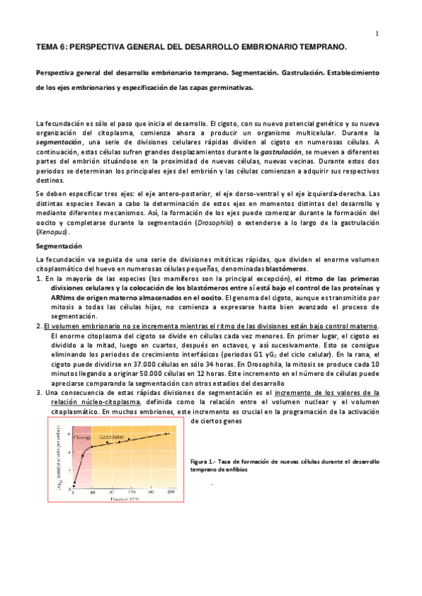 Miniatura del documento TEORIA TEMA 6. SEGMENTACION.pdf